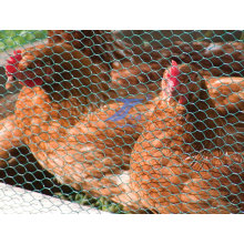 Chicken Hexagonal Wire Mesh (factory)